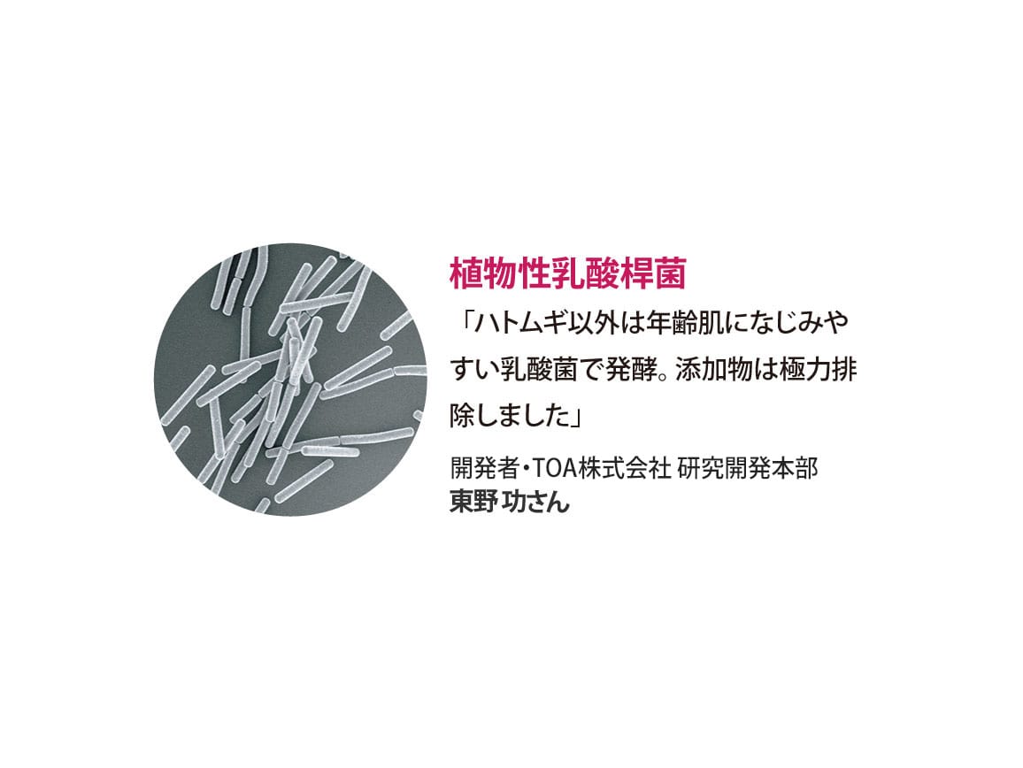 ハルメク 薬用美肌液<夜用> ミニ(旧タイプ) ハルメク 薬用美肌液<夜用> ミニ(旧タイプ)
