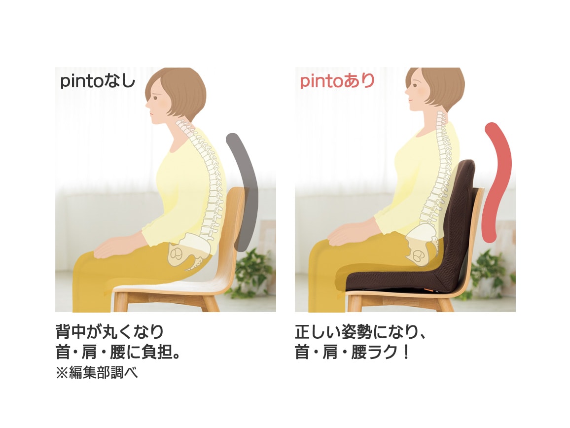 pinto 置くだけラクッションビューティー Hi（専用カバー付き