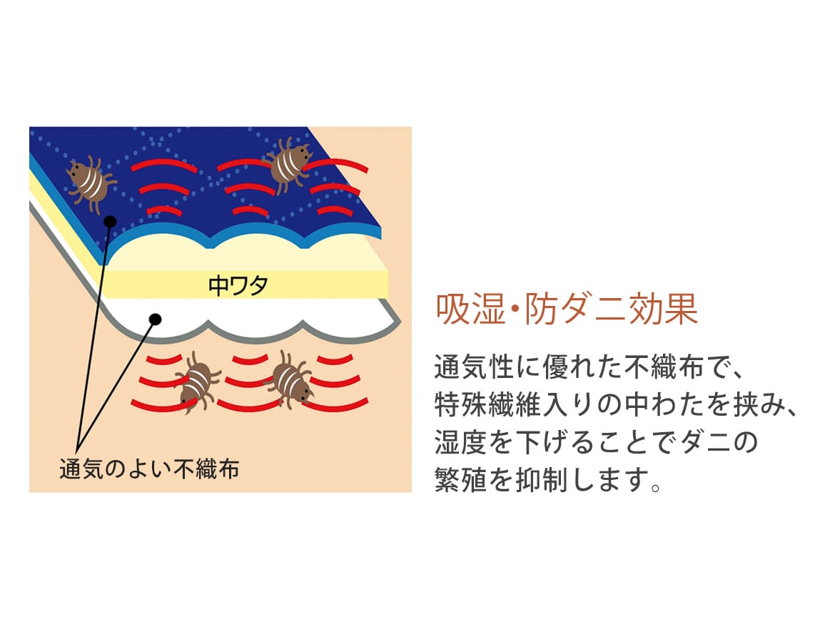 取り出しやすい防ダニ衣類収納ボックス(2個組) 小 取り出しやすい防ダニ衣類収納ボックス(2個組) 小