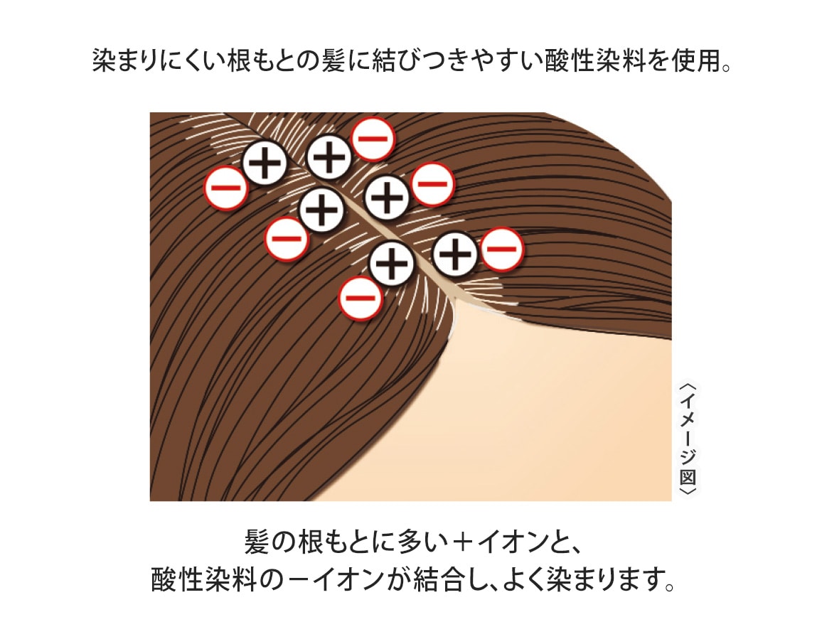 定期おトク便」ハルメク ヘアマニキュアトリートメント ２本組ソフト 