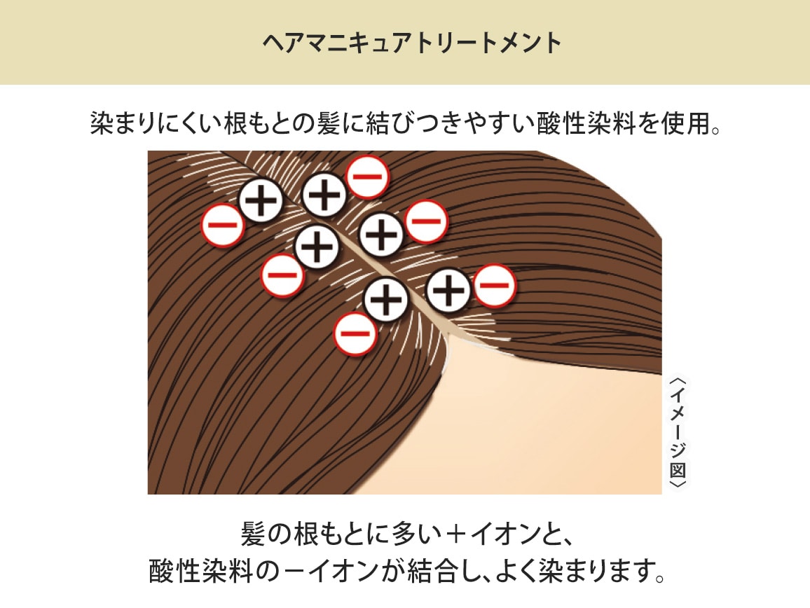 ハルメク ヘアマニキュアトリートメント&ふんわり美髪ブラシセット(プレミアムロング) ハルメク ヘアマニキュアトリートメント&ふんわり美髪ブラシセット(プレミアムロング)