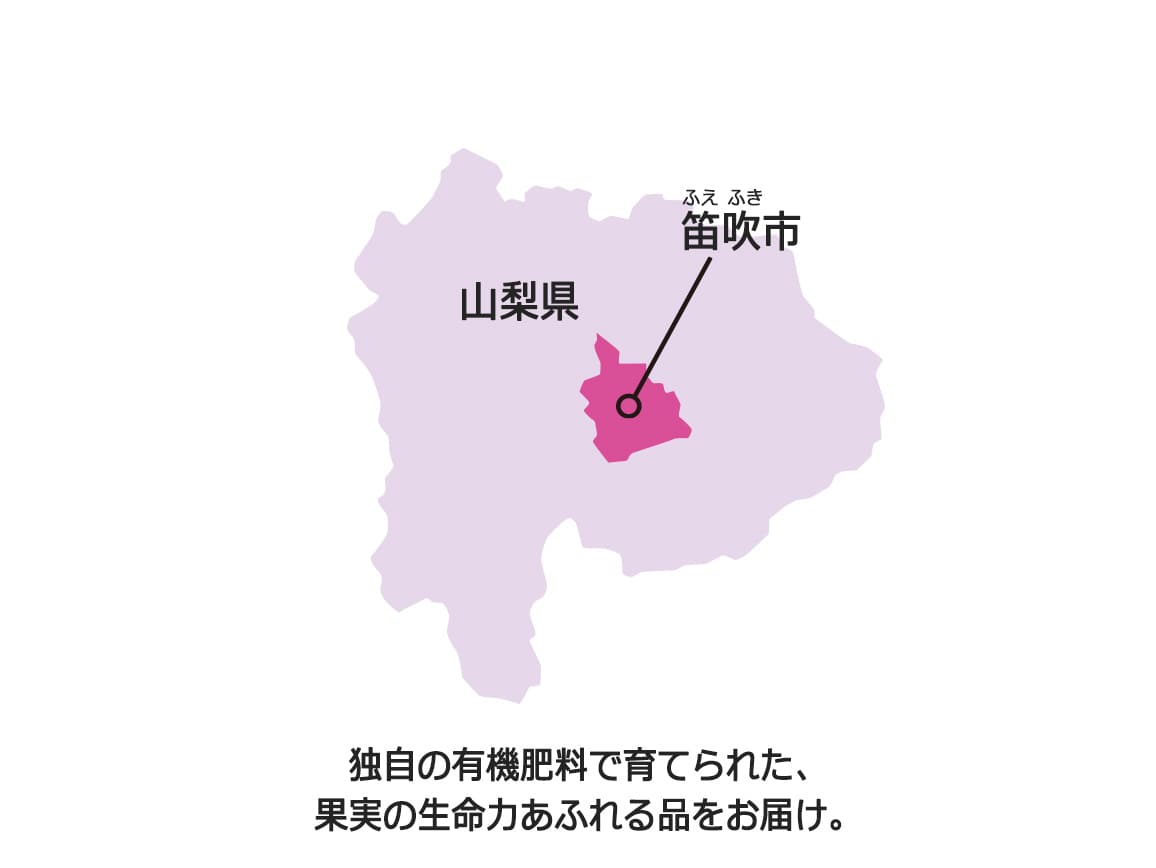 【送料込み価格】山梨県産巨峰(秀品)(1.4kg) 【送料込み価格】山梨県産巨峰(秀品)(1.4kg)