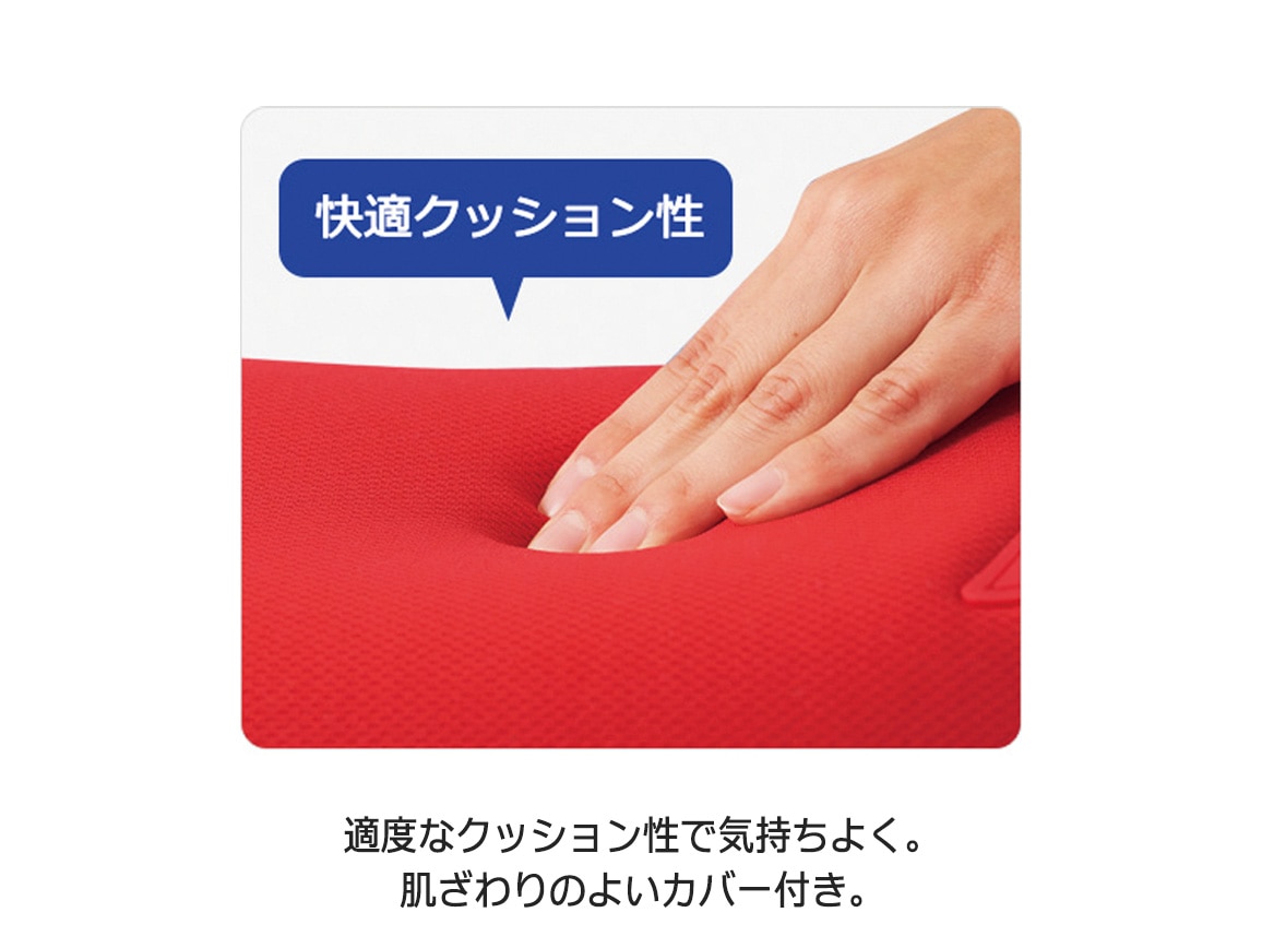 【美品】フィットネスクラブがつくった
スタイリーボール　東急スポーツオアシス フィットネスクラブがつくったスタイリーレッグ(レッド): 美容