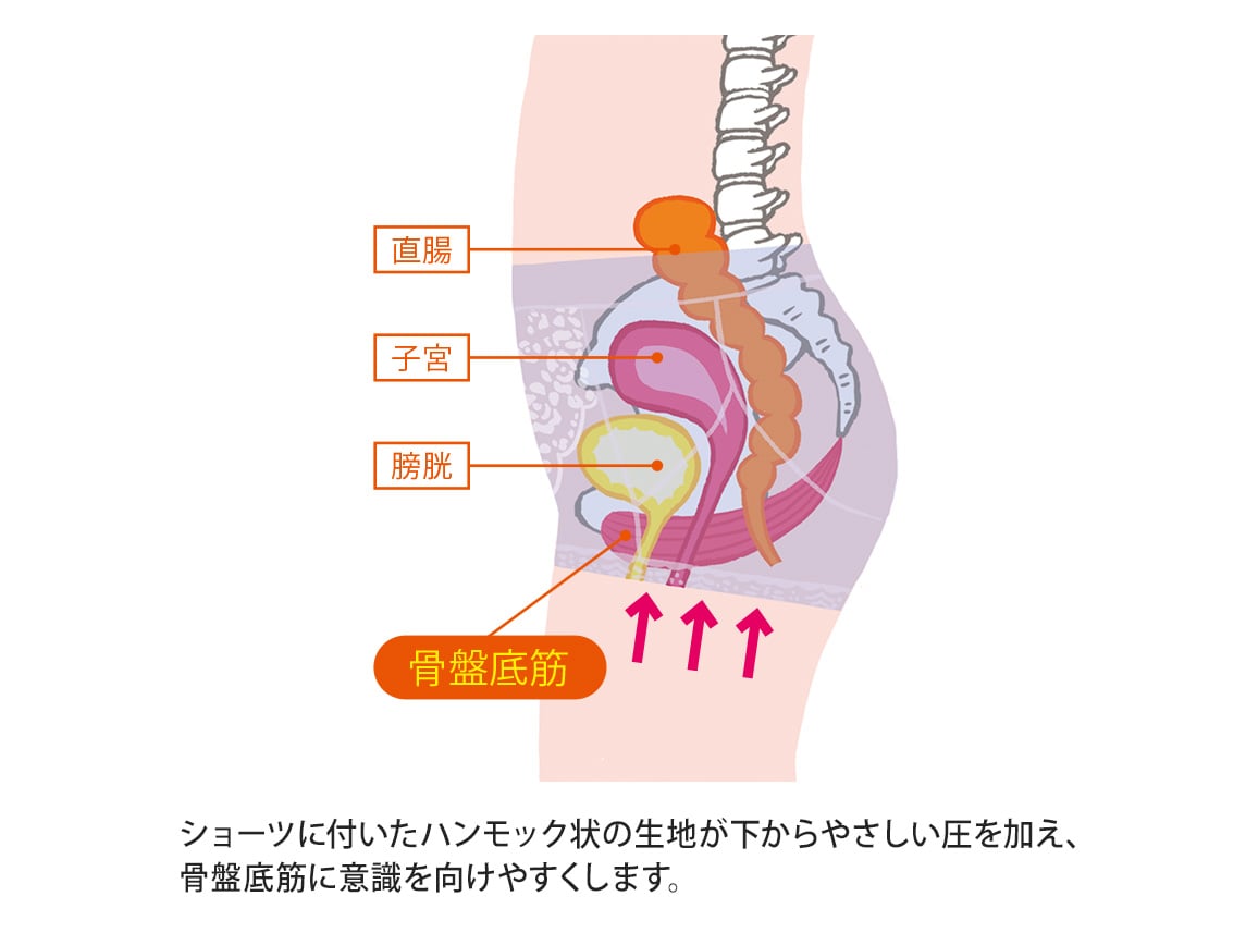 ハルメク 健康サポート・骨盤底筋サポートショーツ(通年用・ノンレース)【広告商品】 ハルメク 健康サポート・骨盤底筋サポートショーツ(通年用・ノンレース)【広告商品】