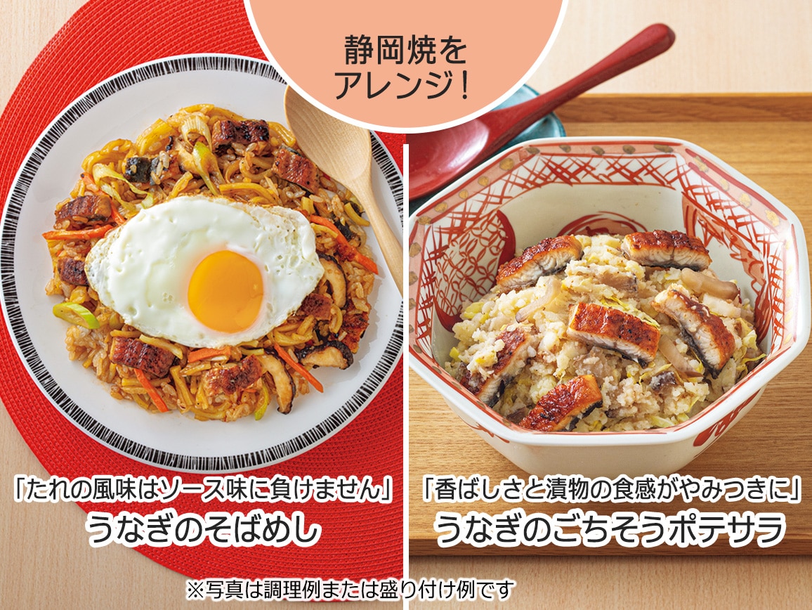 愛知三河産と静岡焼のうなぎ食べ比べ(8袋) 愛知三河産と静岡焼のうなぎ食べ比べ(8袋)
