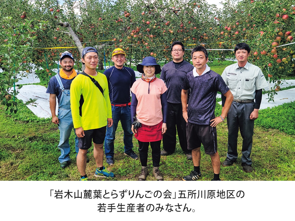 葉とらずサンふじ(2.7kg) 葉とらずサンふじ(2.7kg)