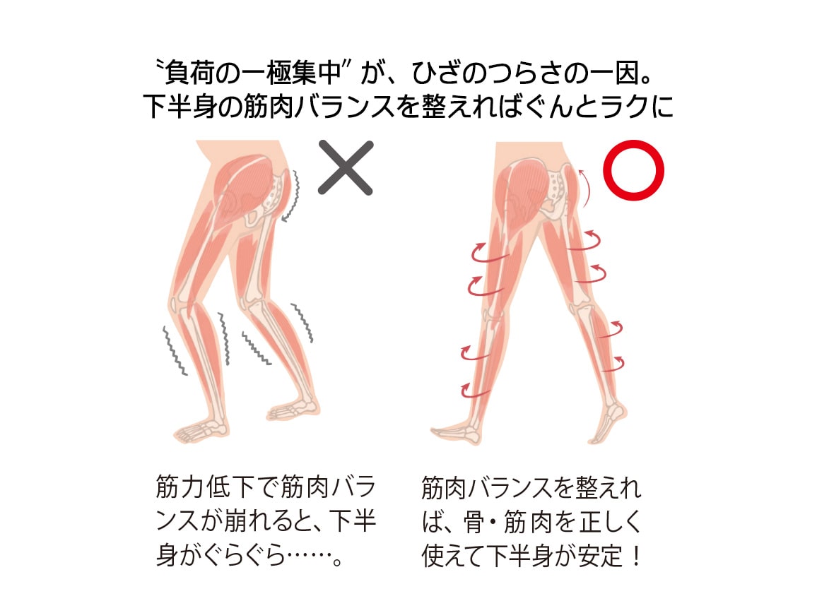 【返金保証】ハルメク 健康サポート・バランスサポートスパッツ ロング丈(通年用) 【返金保証】ハルメク 健康サポート・バランスサポートスパッツ ロング丈(通年用)