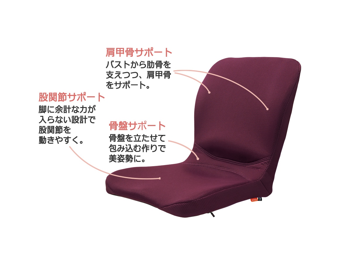 pinto 置くだけラクッションビューティー Hi（専用カバー付き