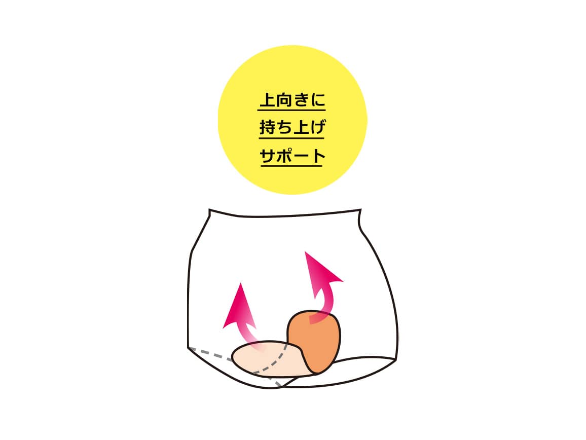 ハルメク ヘルスプラス・骨盤底筋&ヒップサポートショーツ(総レース)【広告商品】 ハルメク ヘルスプラス・骨盤底筋&ヒップサポートショーツ(総レース)【広告商品】