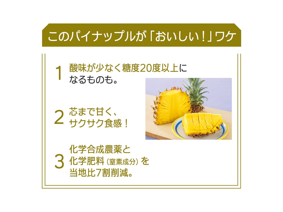 石垣島産 ちぎって食べられるボゴールパイン(1.5kg) 石垣島産 ちぎって食べられるボゴールパイン(1.5kg)