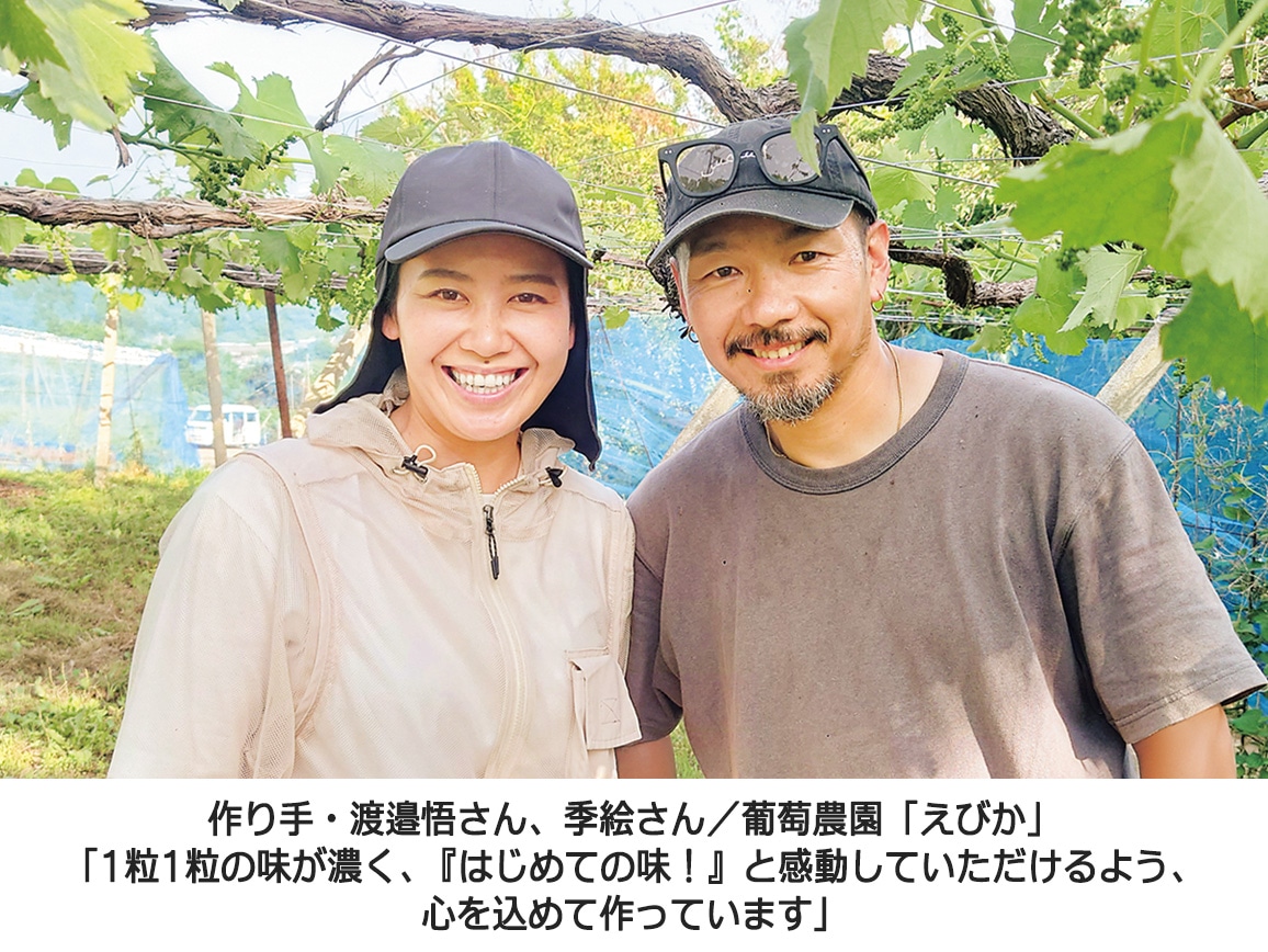 【送料込み価格】山梨県産巨峰(秀品)(1.4kg) 【送料込み価格】山梨県産巨峰(秀品)(1.4kg)