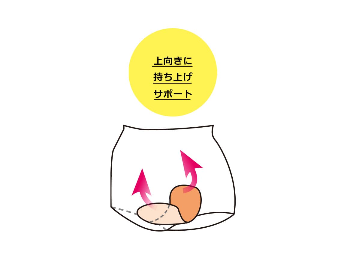ハルメク ヘルスプラス・骨盤底筋&ヒップサポートショーツ(涼やか綿メッシュ) ハルメク ヘルスプラス・骨盤底筋&ヒップサポートショーツ(涼やか綿メッシュ)