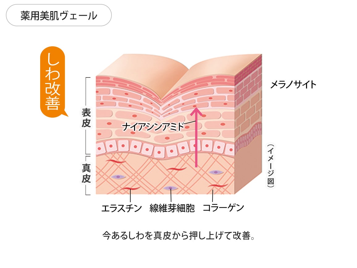 WEBリニューアル記念 ハルメクコスメ特別セット(送料当社負担)_WEB WEBリニューアル記念 ハルメクコスメ特別セット(送料当社負担)_WEB