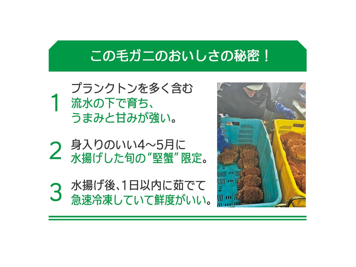 北海道オホーツク産 毛ガニ(1杯) 北海道オホーツク産 毛ガニ(1杯)