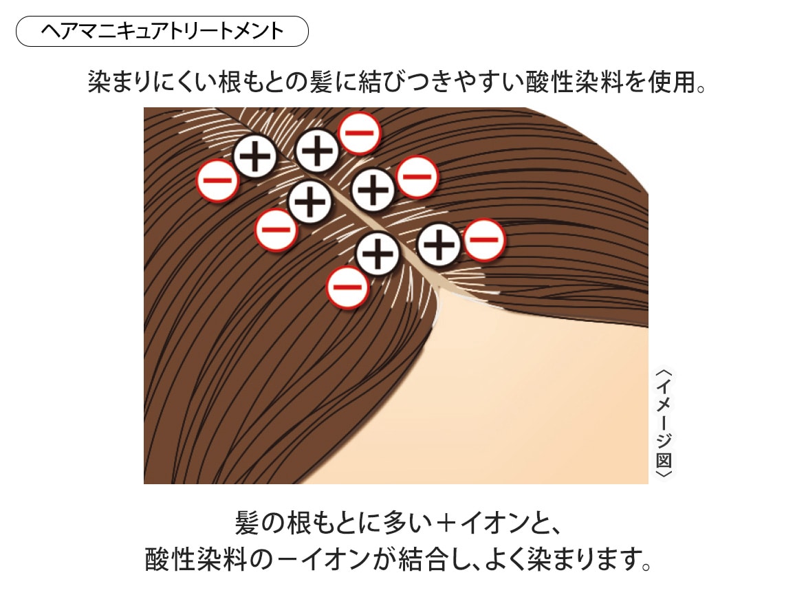 ハルメク ヘアマニキュアトリートメント&ふんわり美髪ブラシセット(プレミアムロング) ハルメク ヘアマニキュアトリートメント&ふんわり美髪ブラシセット(プレミアムロング)