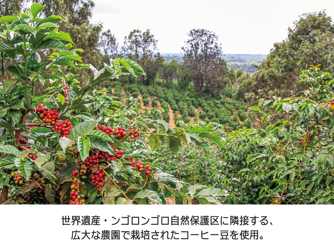 ンゴロ ンゴロ・コーヒー(ドリップ)選べるセット(28パック) ンゴロ ンゴロ・コーヒー(ドリップ)選べるセット(28パック)