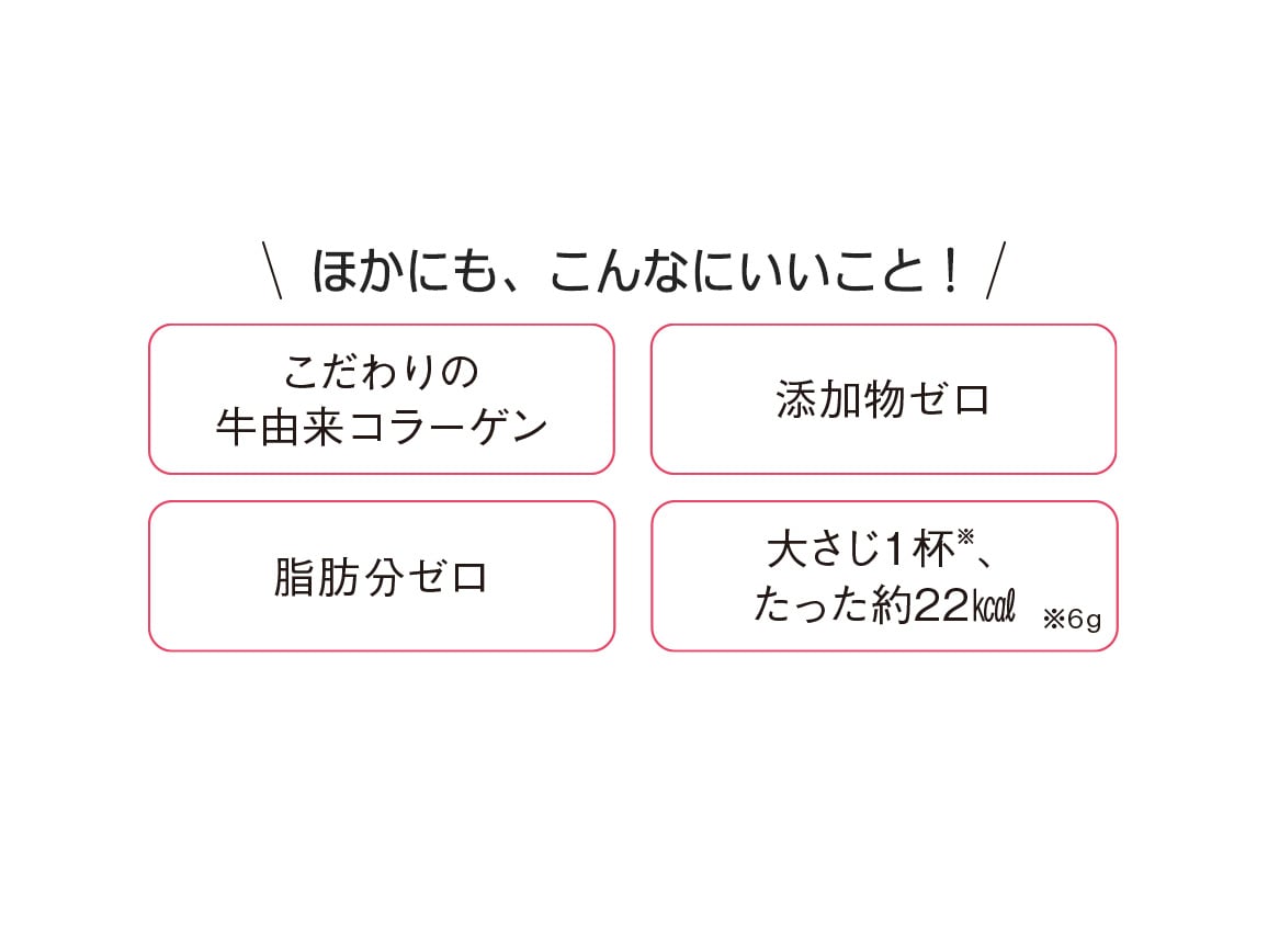 グルメ ZX ND8 | ケンコー・トキナー