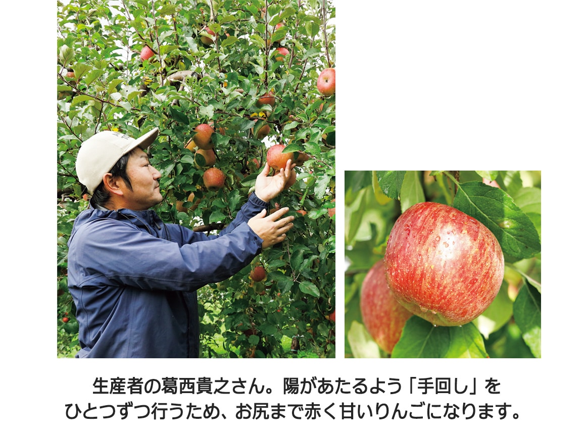 【送料込み価格】青森葉とらずりんご産直便 全3回お届けコース 【送料込み価格】青森葉とらずりんご産直便 全3回お届けコース