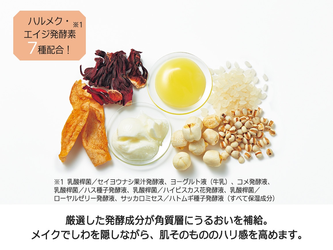「定期おトク便」ハルメク リンクルイレイズ ジェルファンデーション 1本 ピンクオークル10 60日コース 「定期おトク便」ハルメク リンクルイレイズ ジェルファンデーション 1本 ピンクオークル10 60日コース