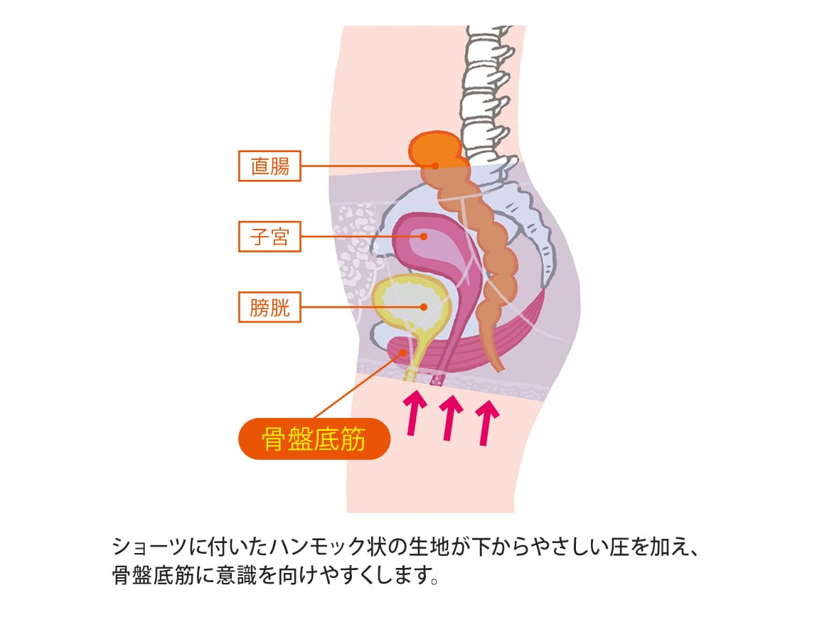 ハルメク 健康サポート・骨盤底筋サポートショーツ(あったか裏起毛) ハルメク 健康サポート・骨盤底筋サポートショーツ(あったか裏起毛)