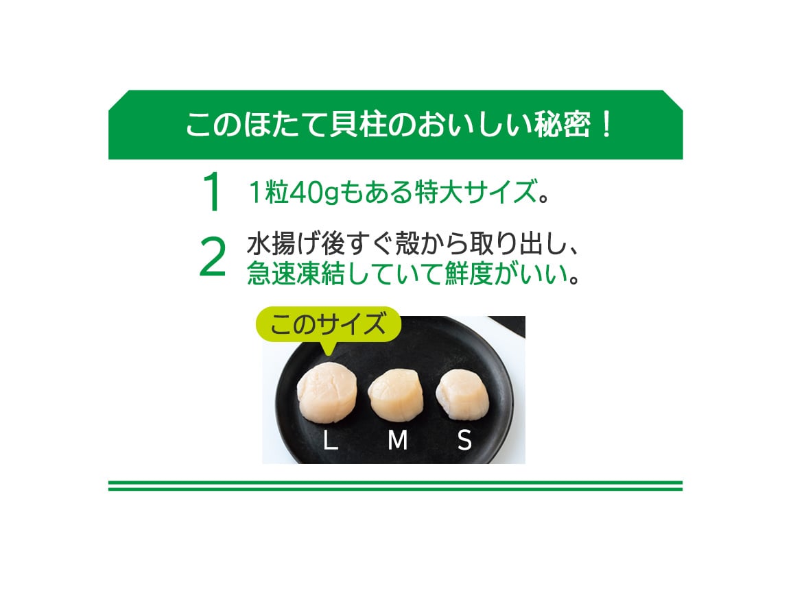 北海道産 大粒ほたて貝柱(1袋) 北海道産 大粒ほたて貝柱(1袋)
