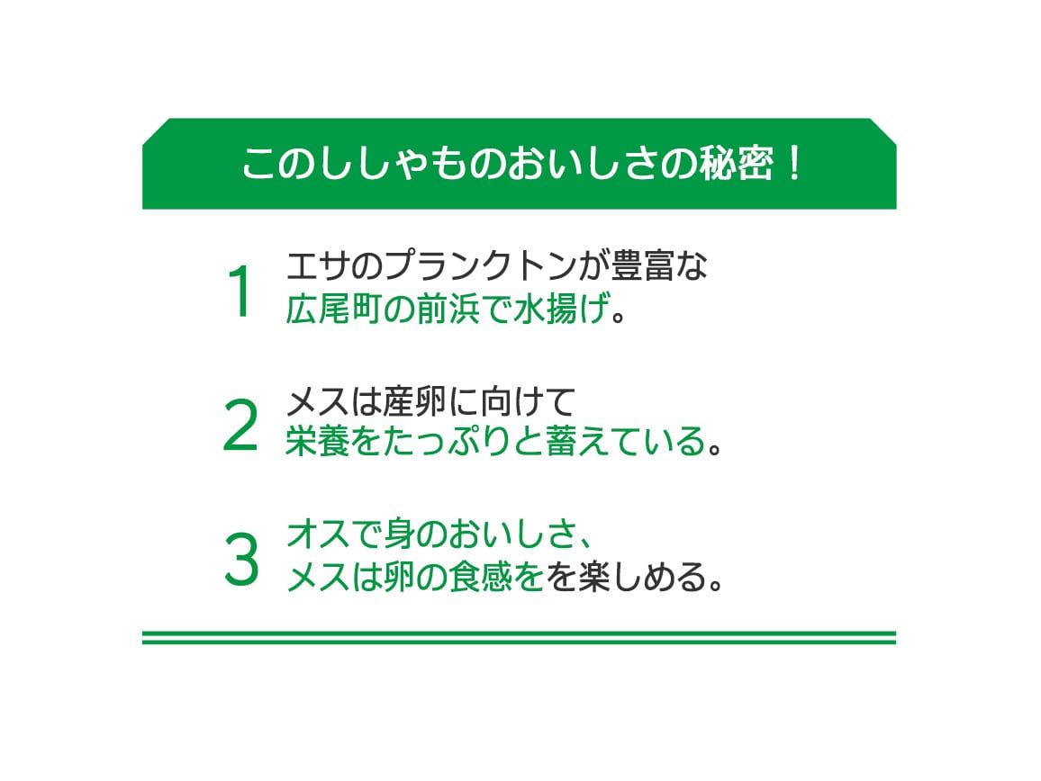 北海道広尾町産 本ししゃも オス・メス食べ比べセット(20尾) 北海道広尾町産 本ししゃも オス・メス食べ比べセット(20尾)