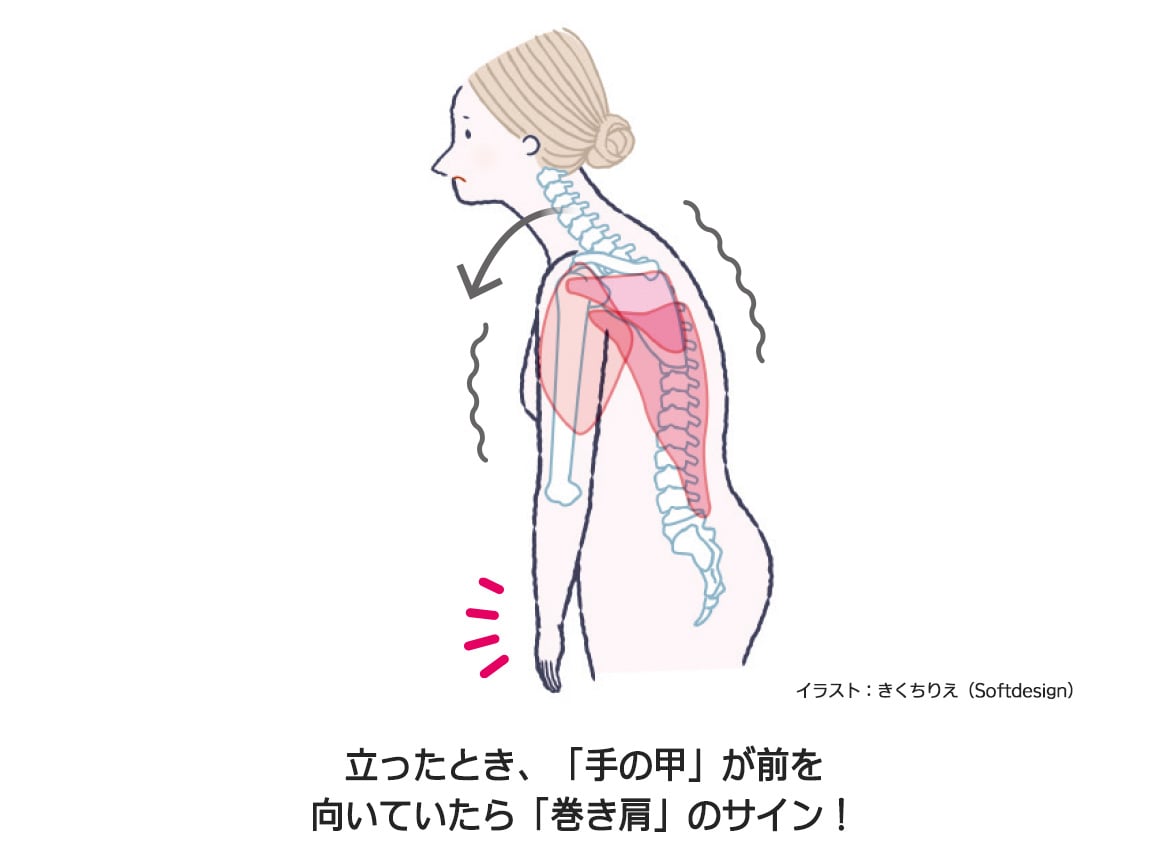 ハルメク 健康サポート・姿勢サポートインナー ハルメク 健康サポート・姿勢サポートインナー