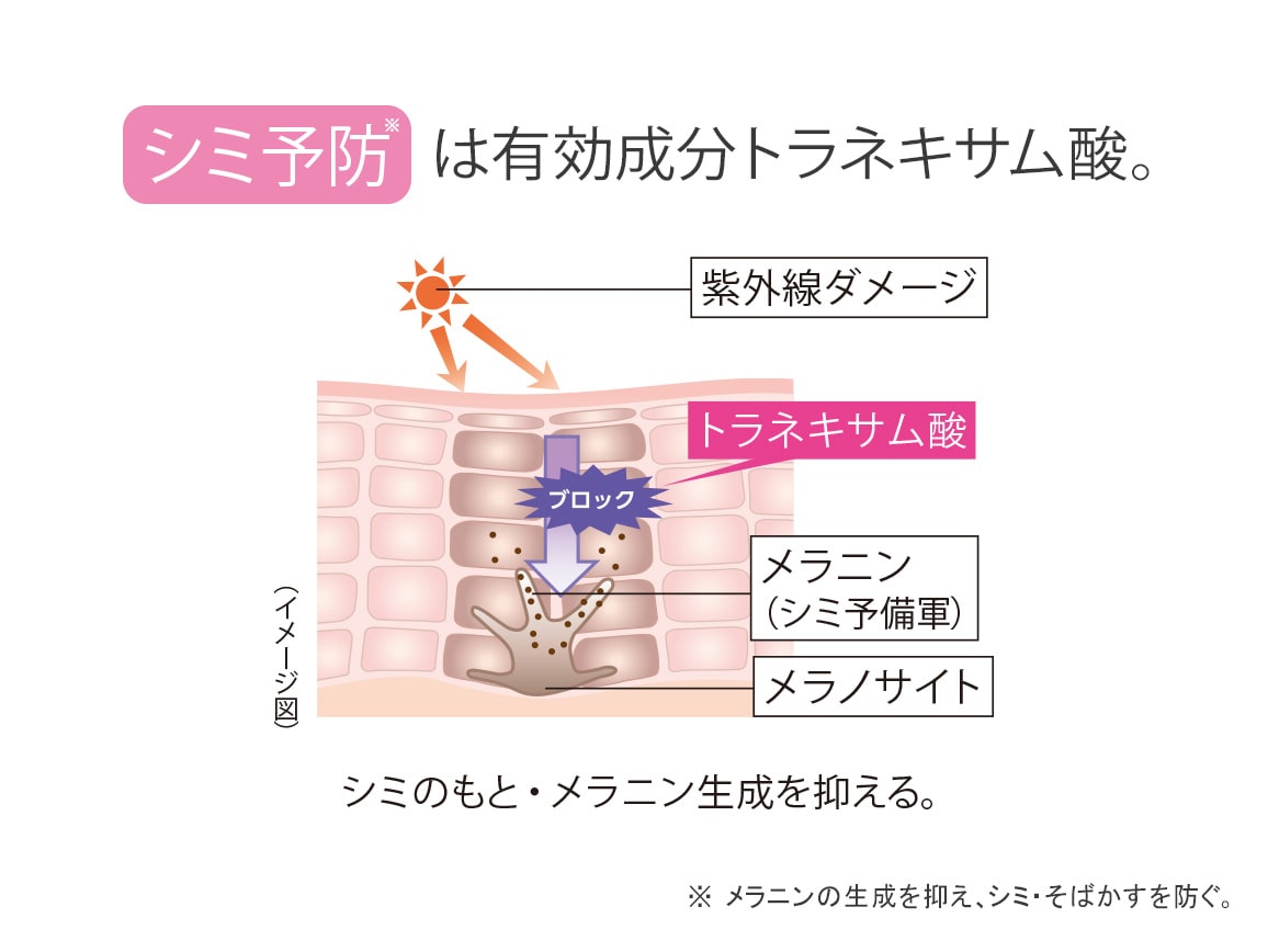 ハルメク 薬用美肌液<朝夜セット>送料当社負担_WEB ハルメク 薬用美肌液<朝夜セット>送料当社負担_WEB