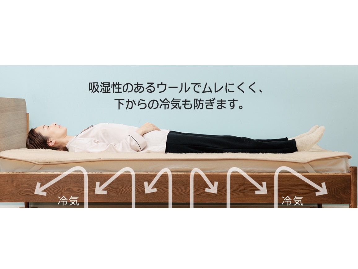 ザ・プレミアムソフゥール（R）敷き毛布（シングル）: ｜ カタログ