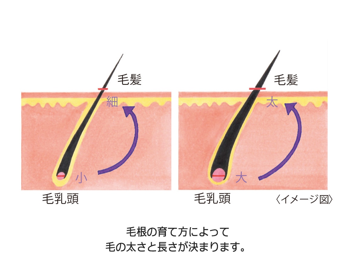 ハルメク 薬用スカルプエッセンスTKG ミニ ハルメク 薬用スカルプエッセンスTKG ミニ
