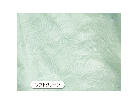 ソフトグリーン ソフトグリーン