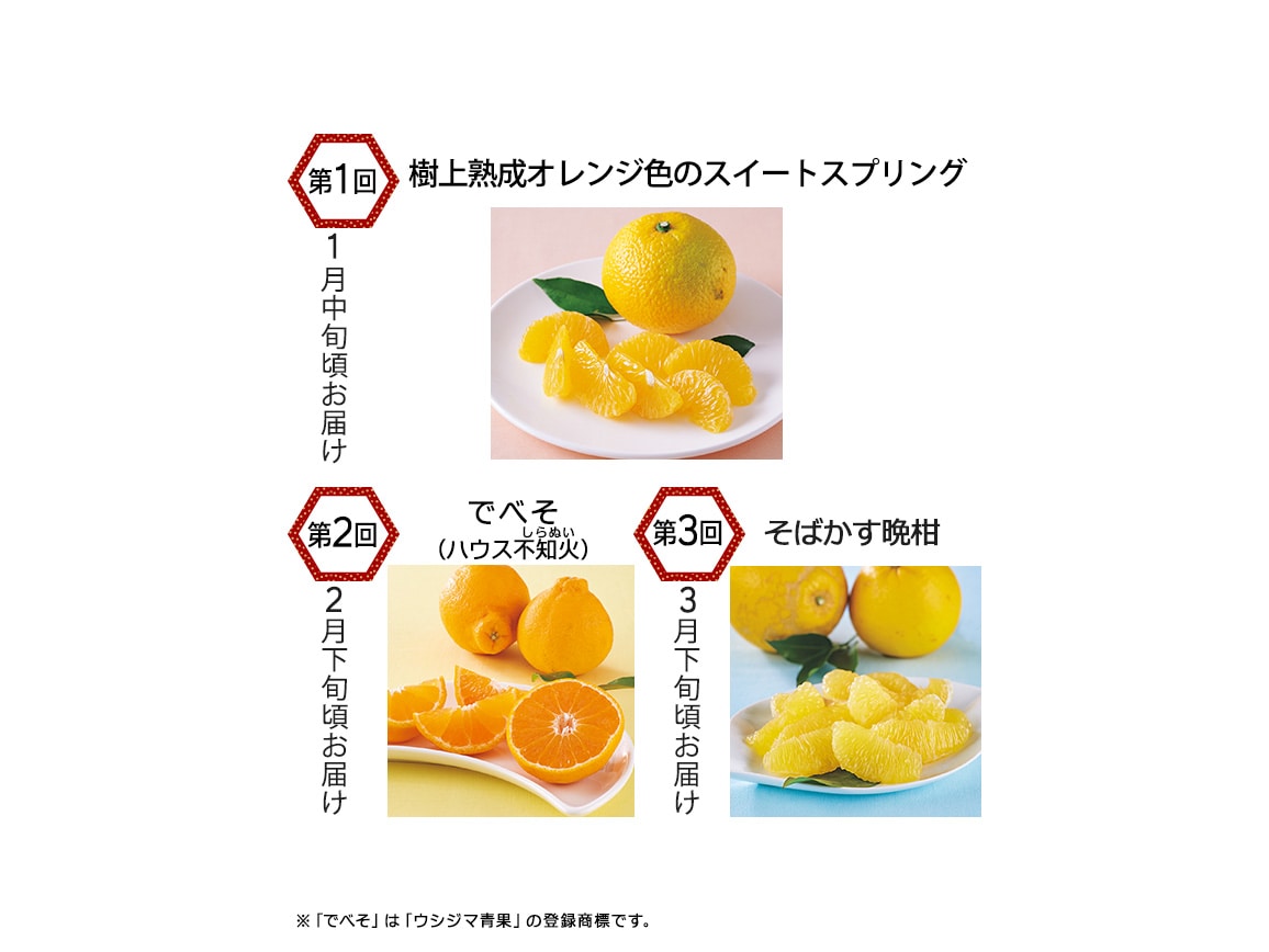 熊本ウシジマ青果 柑橘産直便(全3回) 熊本ウシジマ青果 柑橘産直便(全3回)