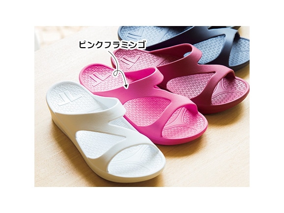 ピンクフラミンゴ ピンクフラミンゴ