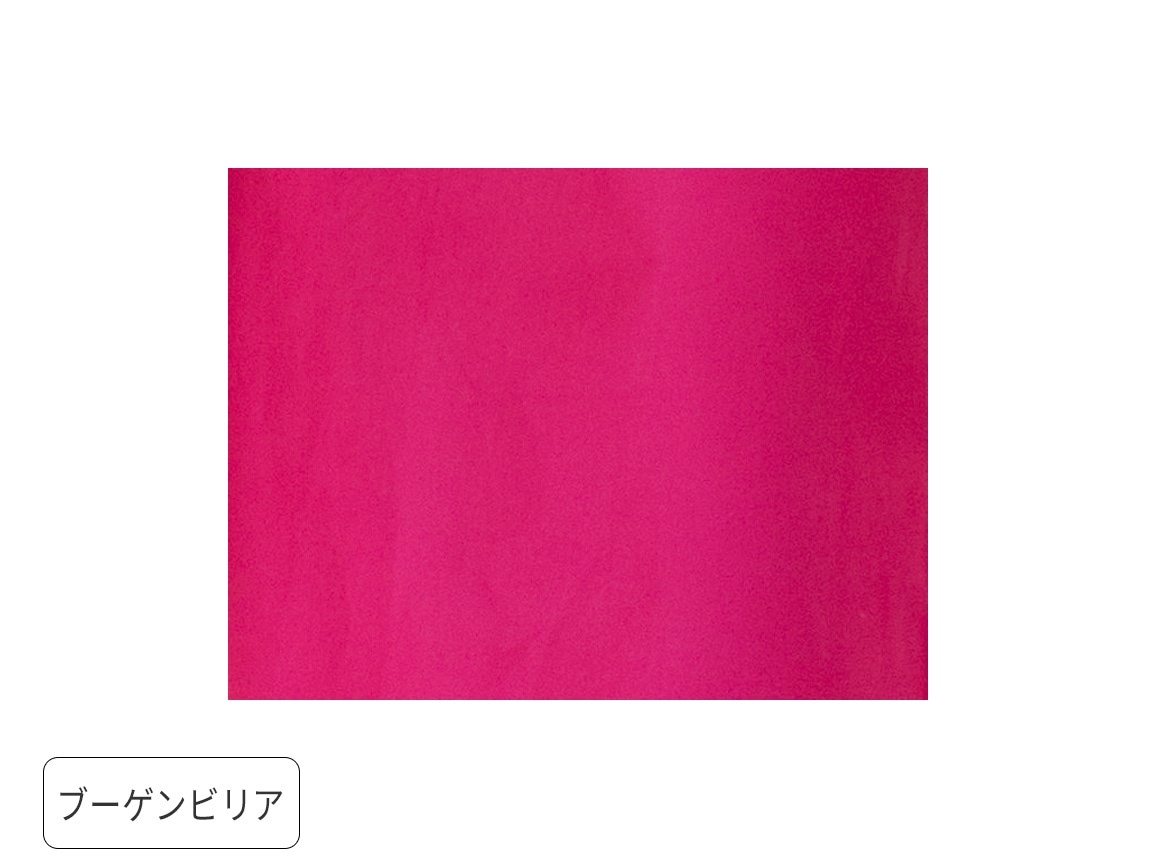 ブーゲンビリア ブーゲンビリア