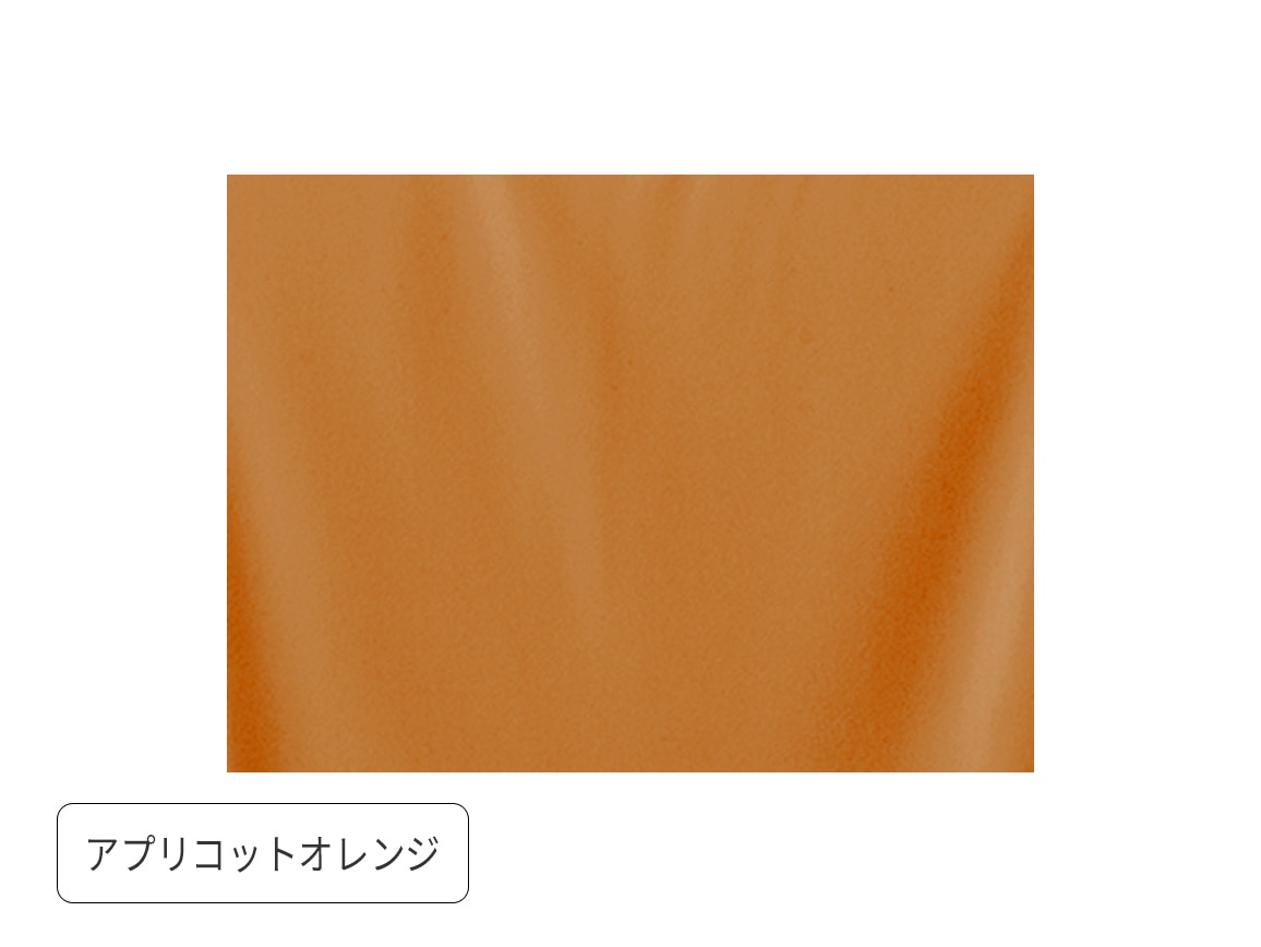 アプリコットオレンジ アプリコットオレンジ