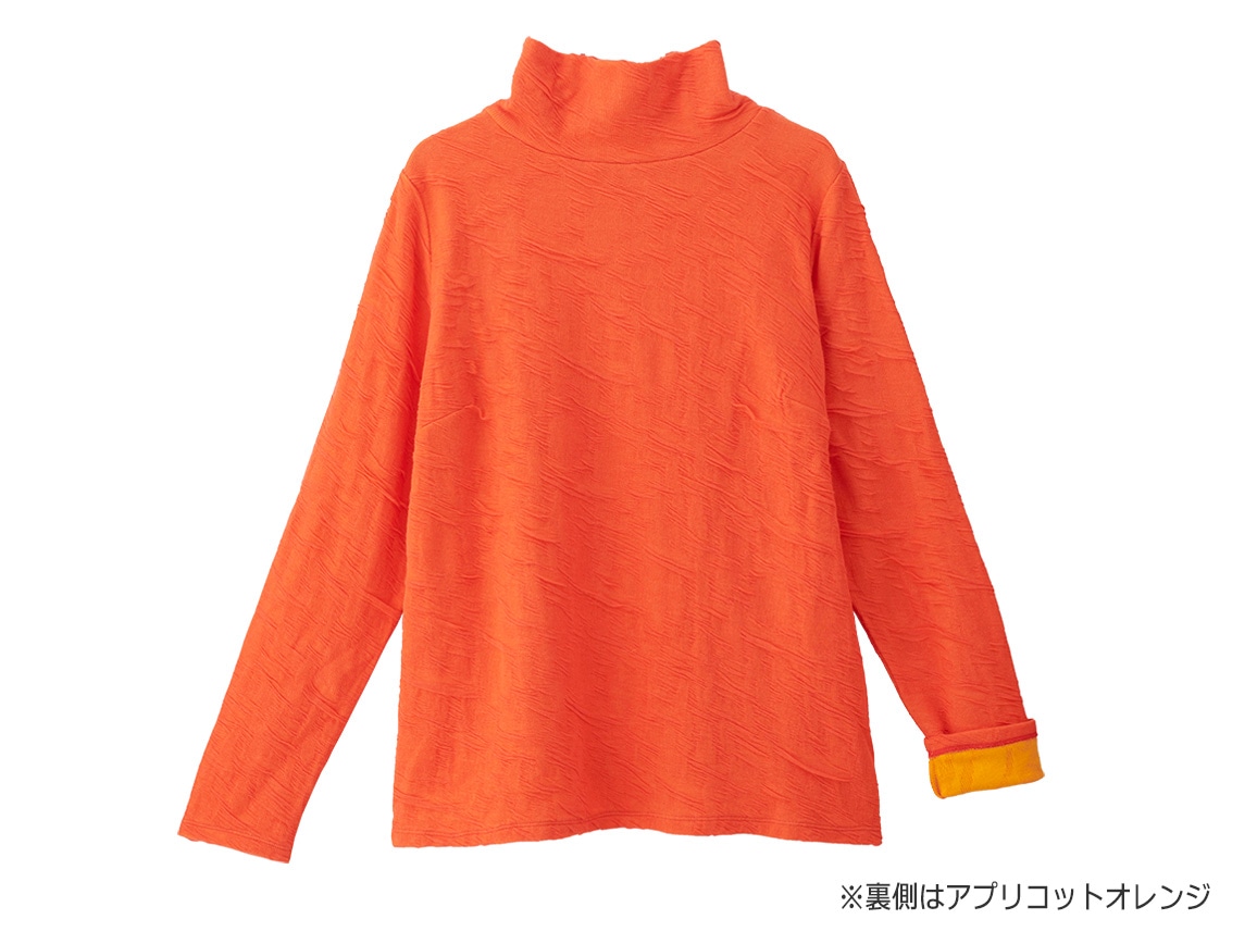 バーミリオン バーミリオン