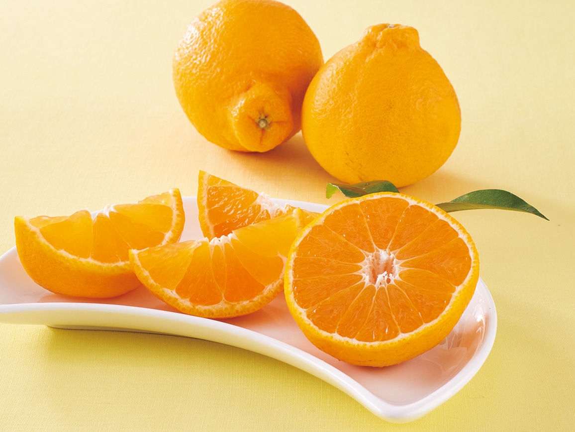 �łׂ��i�s�m�΁j�i�P�D�T�j���j