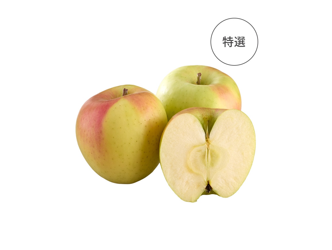 I@tƂ炸iQDTj