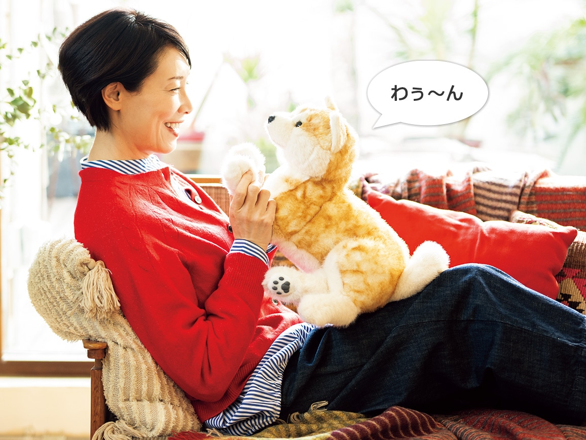 �H�c���g�`�b�g�h