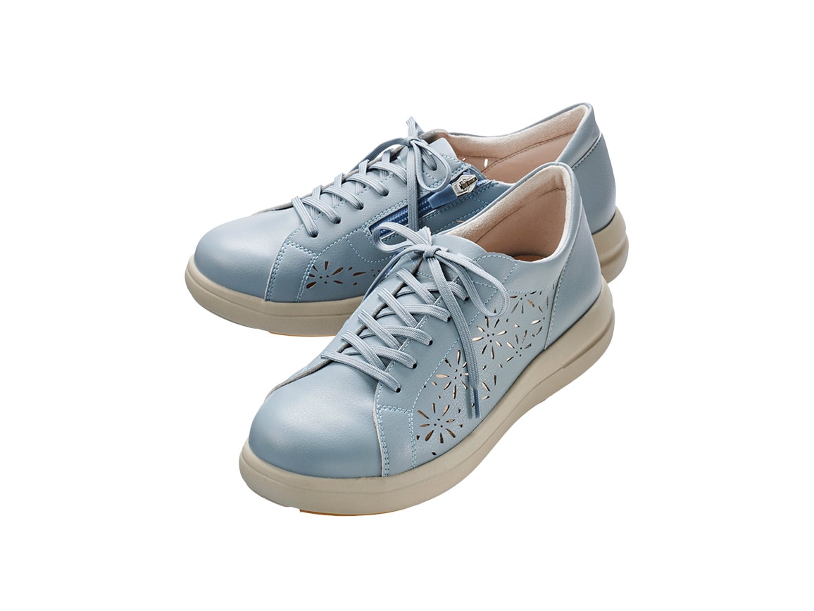 �u���[�O���[