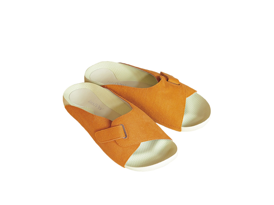 �A�v���R�b�g