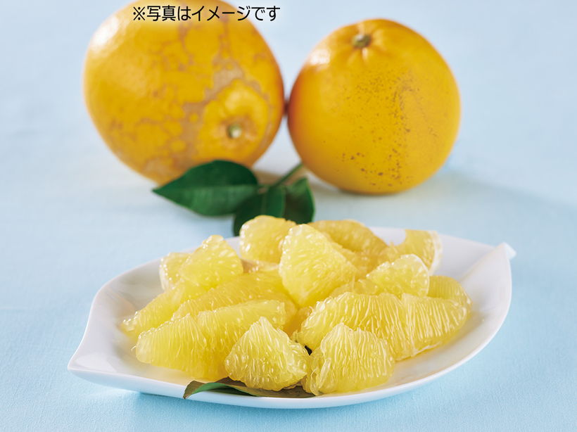 ���΂����ӊ��i�R.�O�����j�i�P�i�j