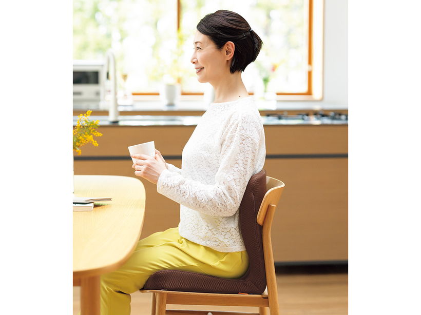 �����������@�u���������N�b�V�����r���[�e�B�[�i��p�J�o�[�t���j