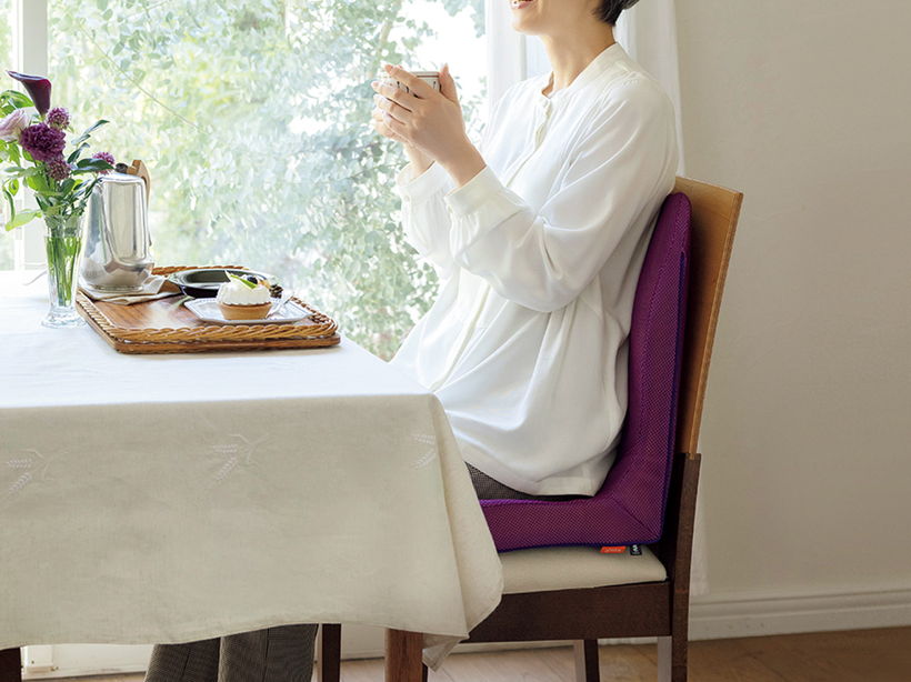 �����������@�u���������N�b�V�����r���[�e�B�[�@�g���i��p�J�o�[�t���j