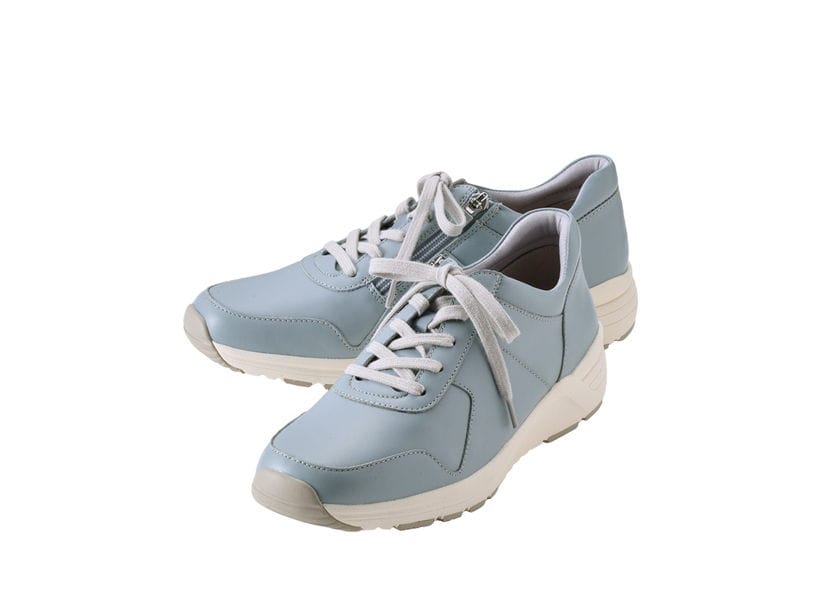 �n�����N�@�V�[�v���U�[�����X�j�[�J�[