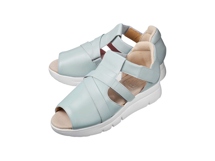 ���ꂢ�ߋ��v�X�|�T��