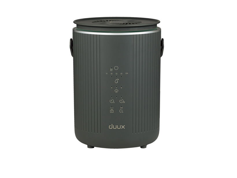 ���������@�c�������i�f���N�X�h�[���j�@�X�`�[����������