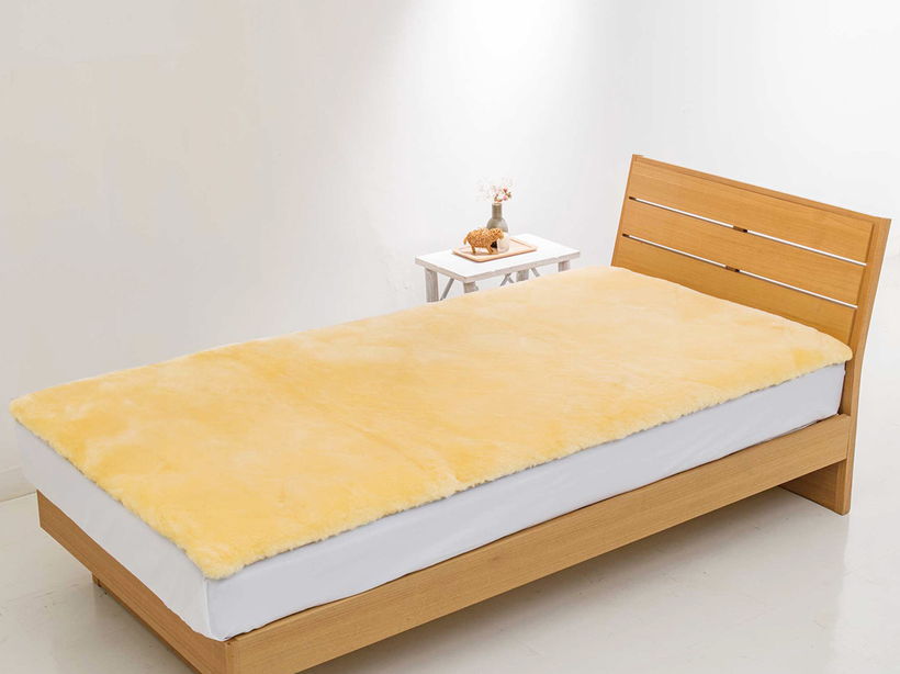 �I�[�X�g�����A�O�������[�g���~���p�b�h�@�S�[���h