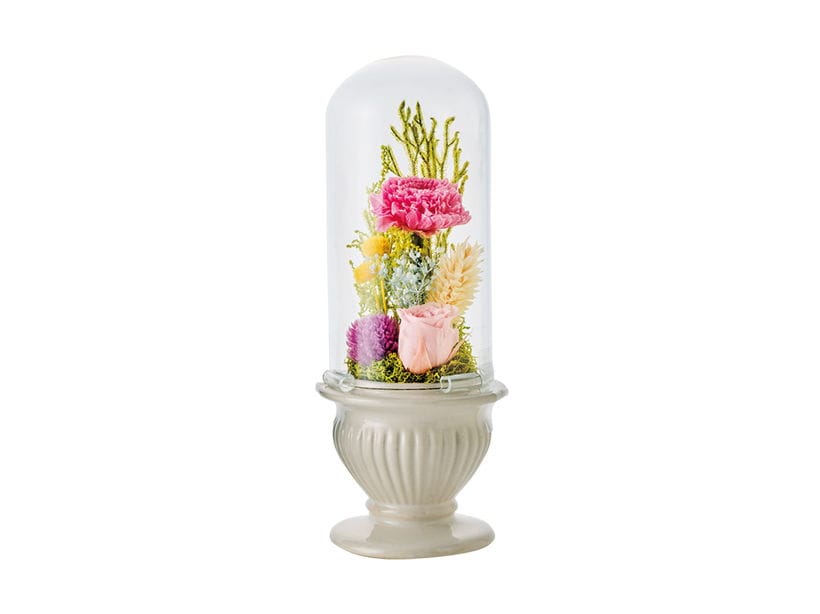 �K���X�h�[���A�����W�����g�@�����P�W����