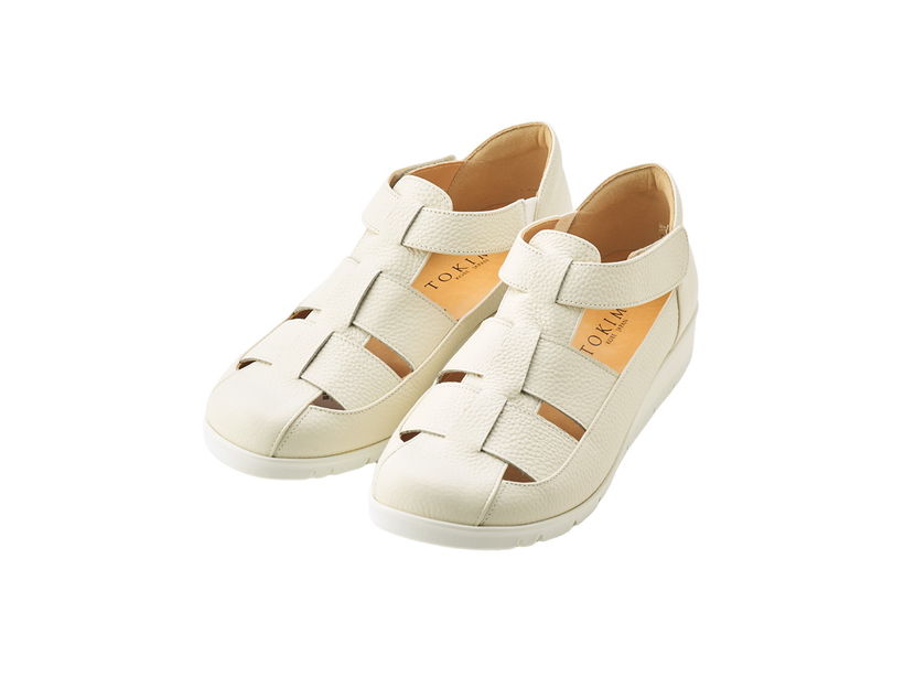 �����̌C�@�SE�O���J�T���_��